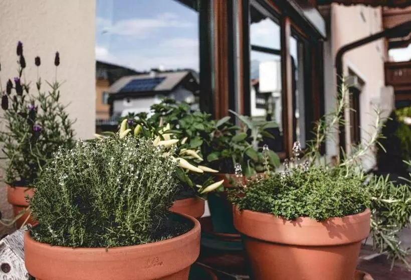 ペンション Gasthof Schmalzerhof