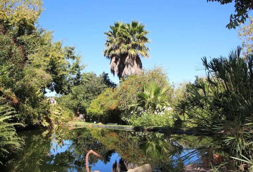 פנסיון Southern Cross Guesthouse