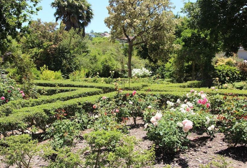 פנסיון Southern Cross Guesthouse