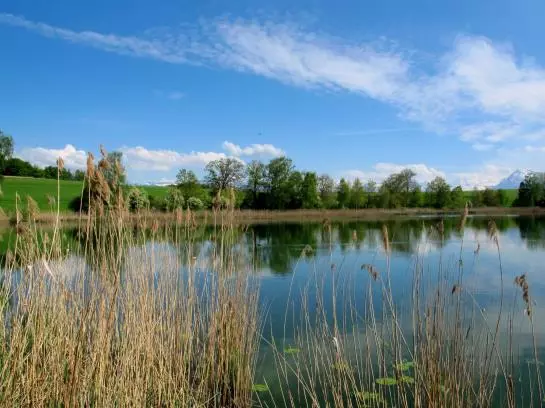 Seminar Hotel Gerzensee