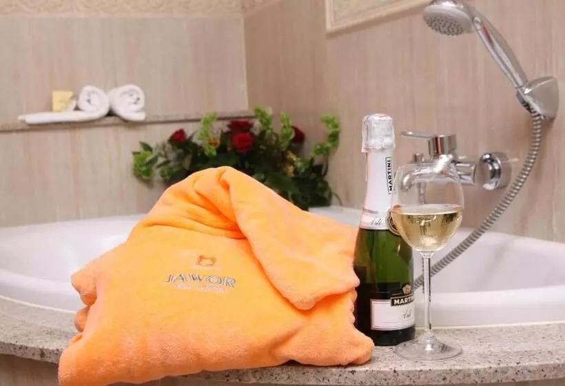 Spa Hotel Jawor