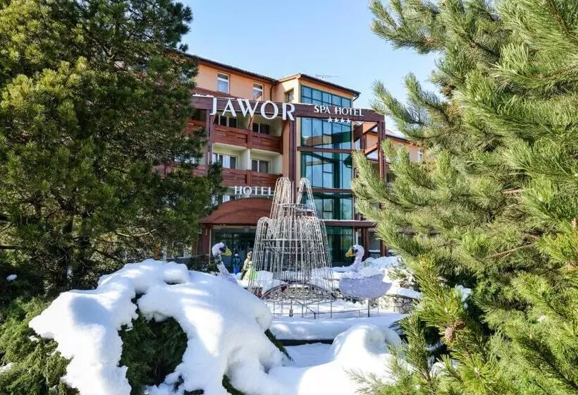 Spa Hotel Jawor