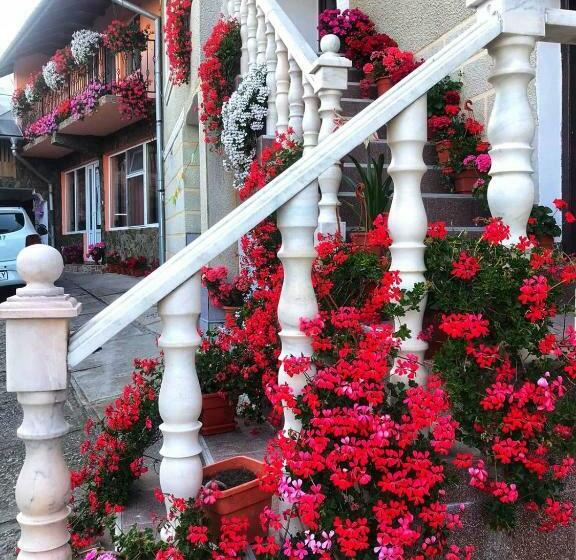 ペンション Cazare Nely