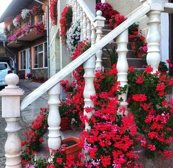 Majatalo Cazare Nely