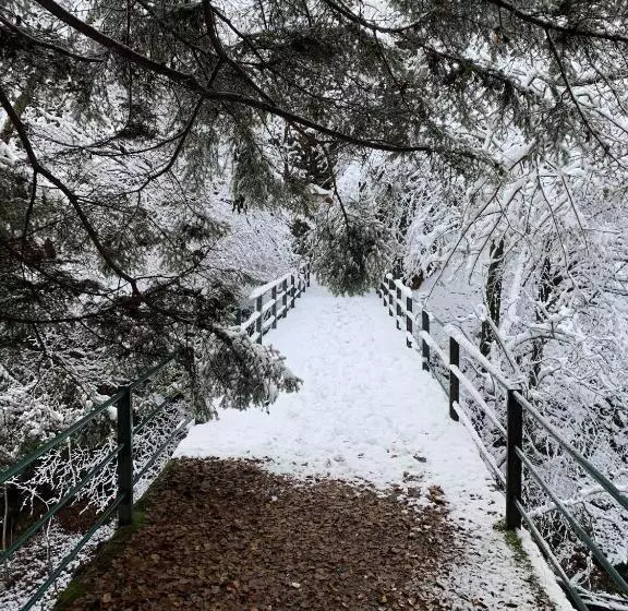 Casa Bruja Tradizionale Rustico Ticinese