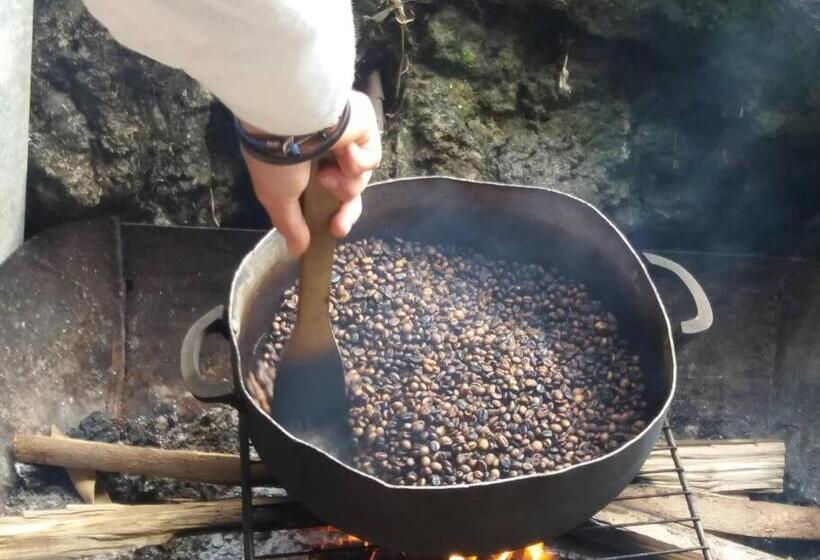 Location Saisonnière Le Clos Des Agrumes