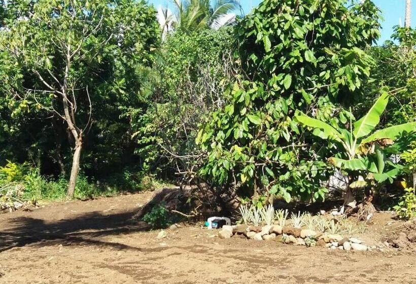 Location Saisonnière Le Clos Des Agrumes