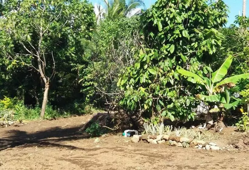 Location Saisonnière Le Clos Des Agrumes