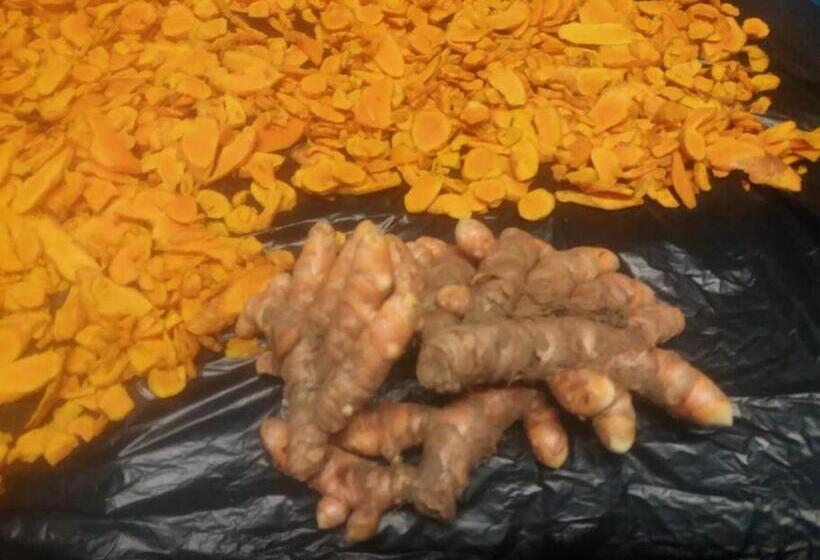 Location Saisonnière Le Clos Des Agrumes