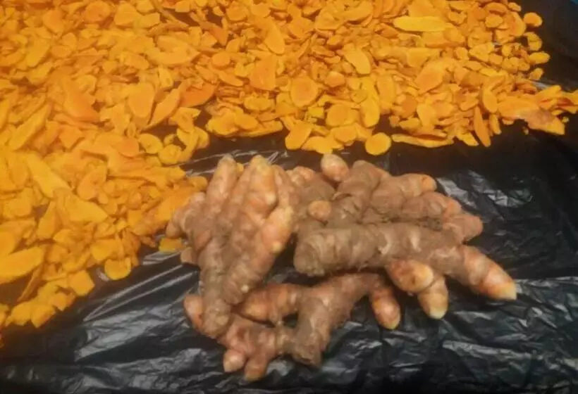 Location Saisonnière Le Clos Des Agrumes