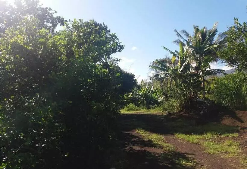 Location Saisonnière Le Clos Des Agrumes