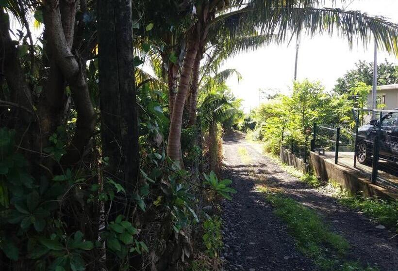 Location Saisonnière Le Clos Des Agrumes