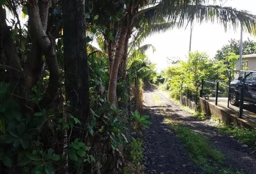 Location Saisonnière Le Clos Des Agrumes