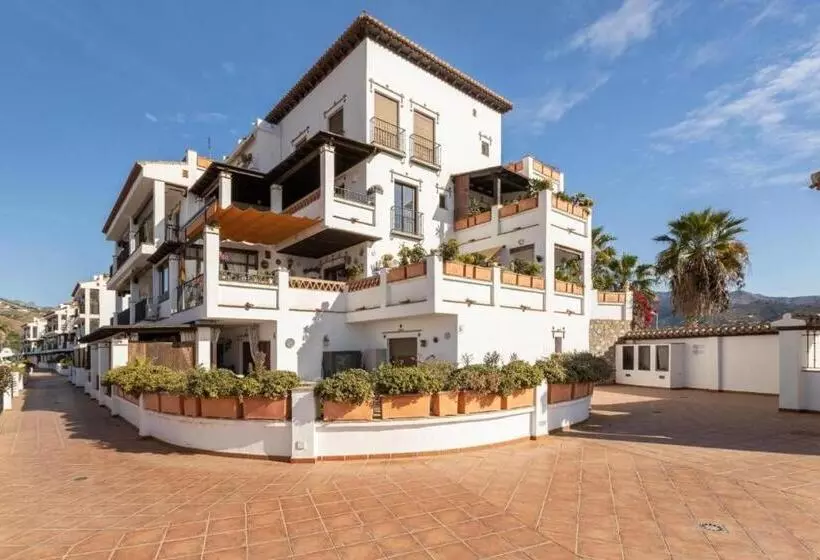 Santacruz Buganvilla41