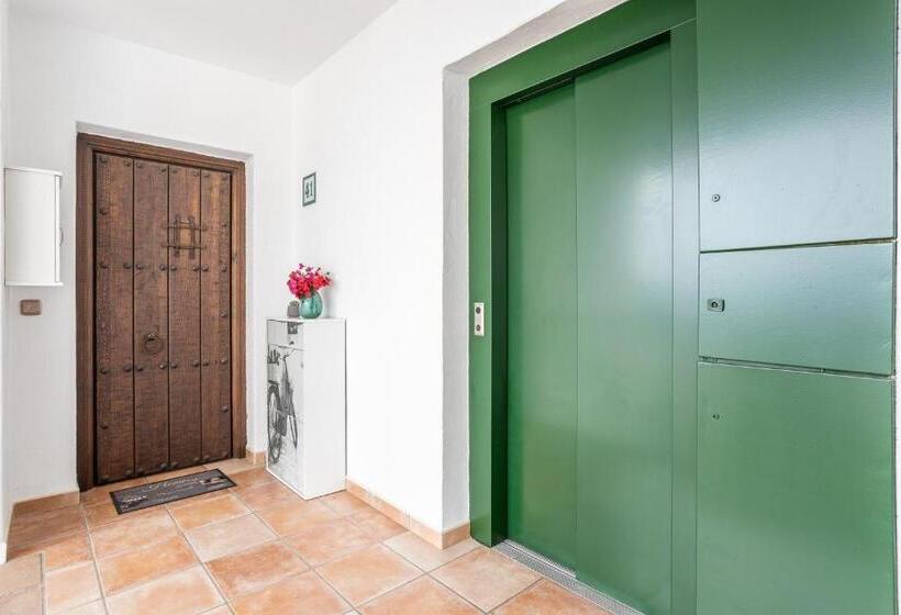 Santacruz Buganvilla41