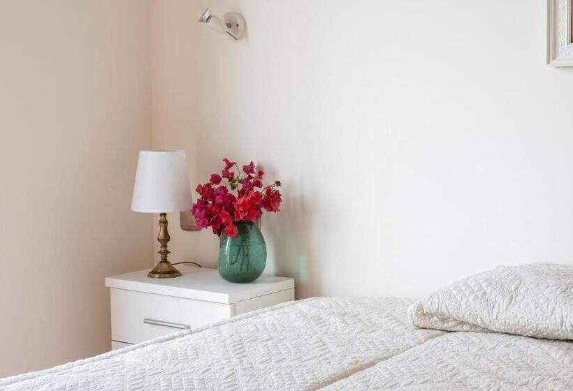 Santacruz Buganvilla41