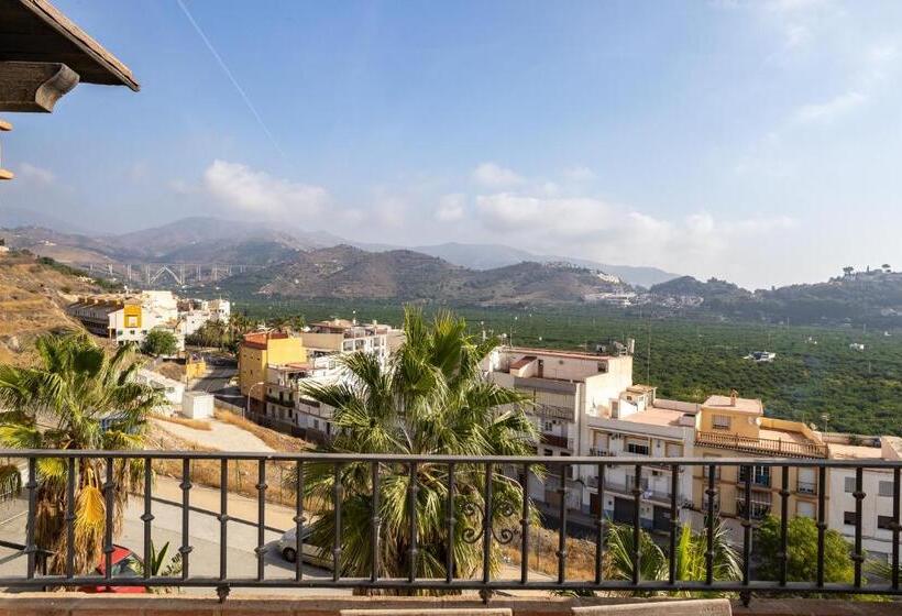 Santacruz Buganvilla41