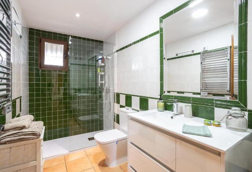 Santacruz Buganvilla41