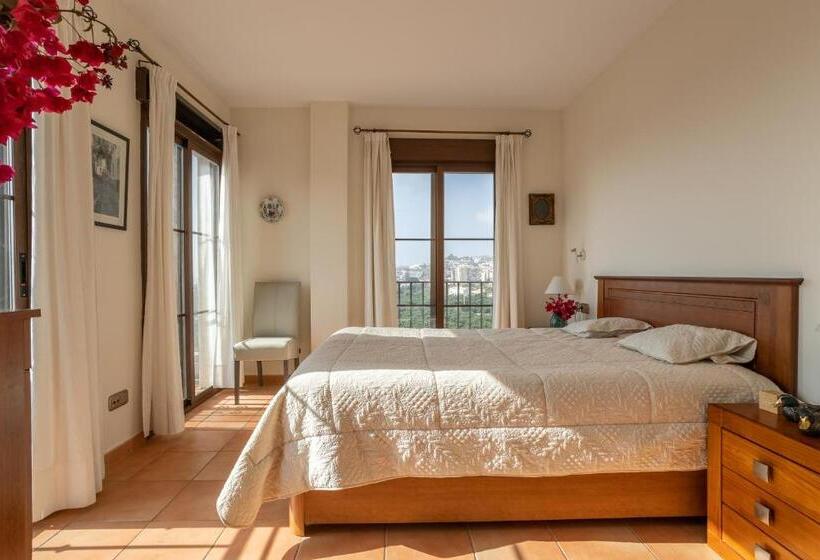 Santacruz Buganvilla41