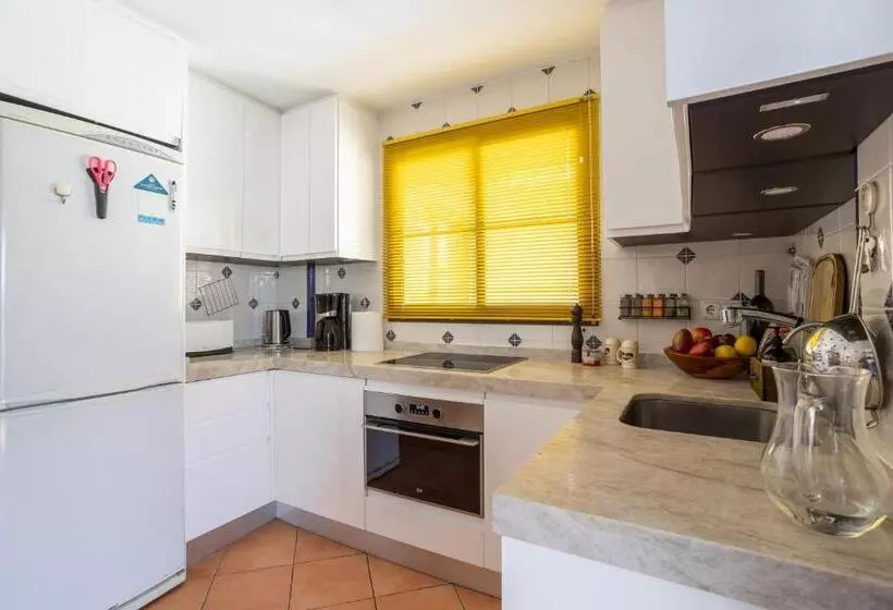 Santacruz Buganvilla41