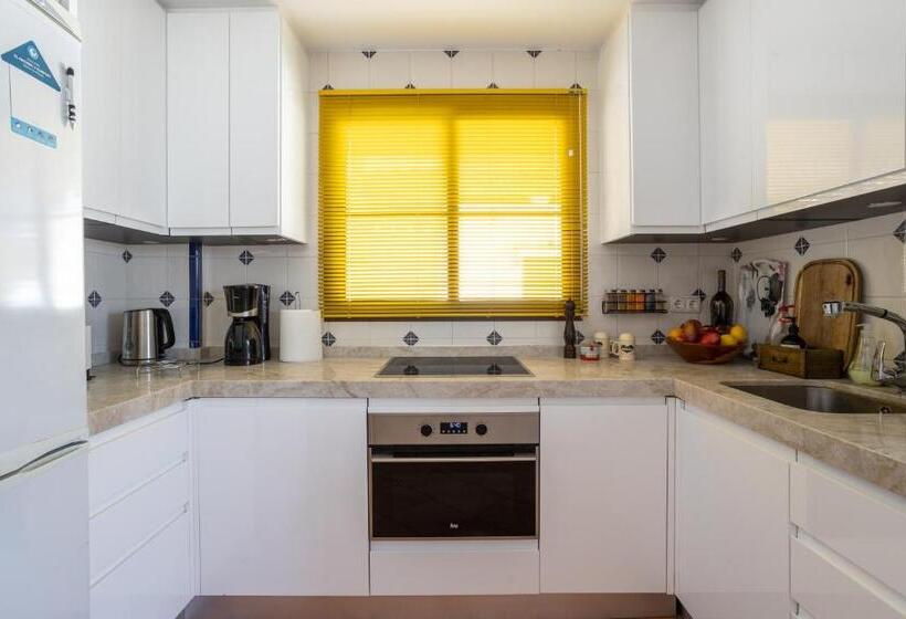 Santacruz Buganvilla41