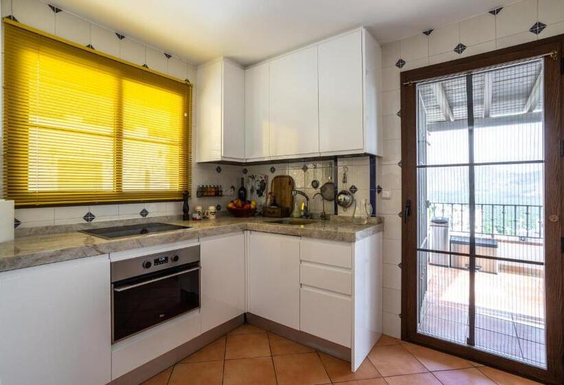 Santacruz Buganvilla41