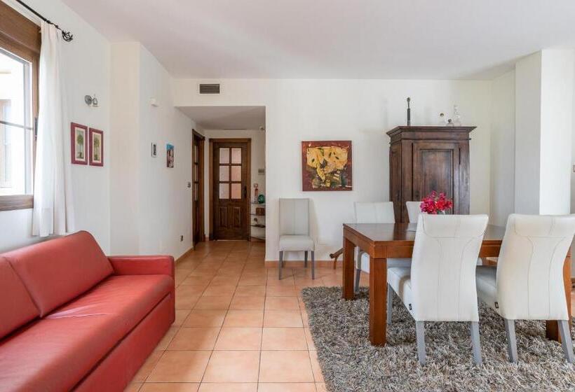 Santacruz Buganvilla41