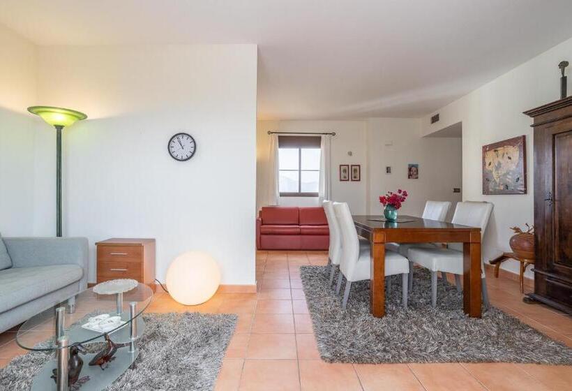 Santacruz Buganvilla41