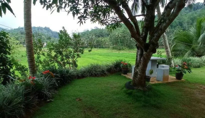 هتل Rainforest Nest