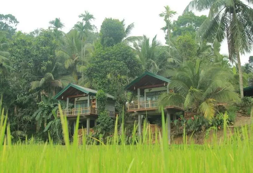 هتل Rainforest Nest