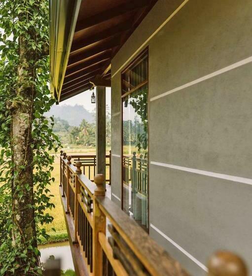 ホテル Rainforest Nest