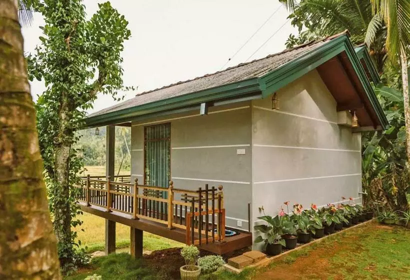 هتل Rainforest Nest