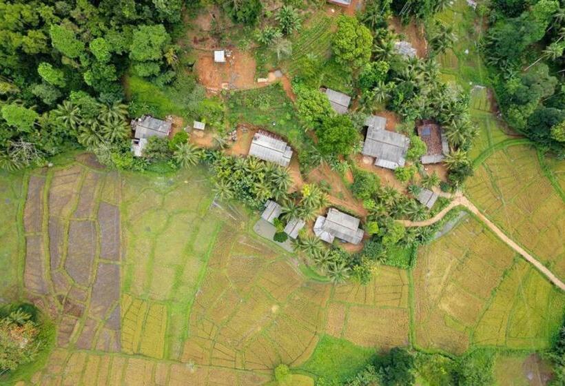 ホテル Rainforest Nest