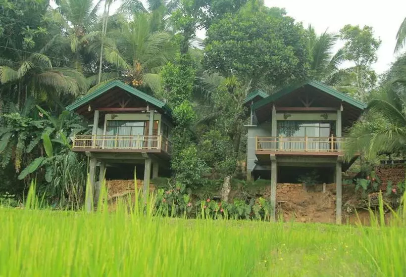هتل Rainforest Nest