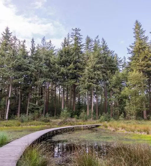 It Merkelân