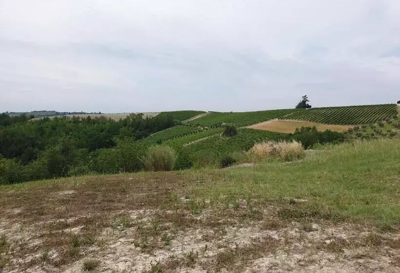 Majatalo Olivola Apartments