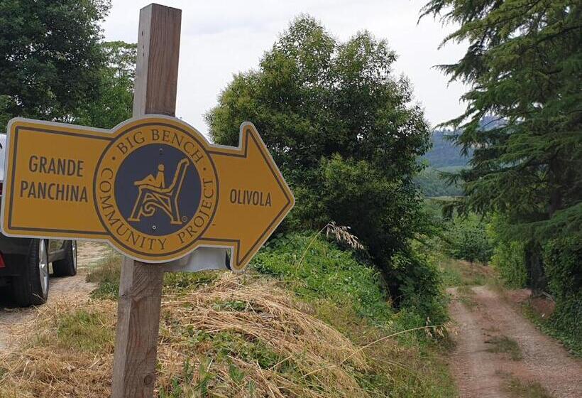 بنسيون Olivola Apartments