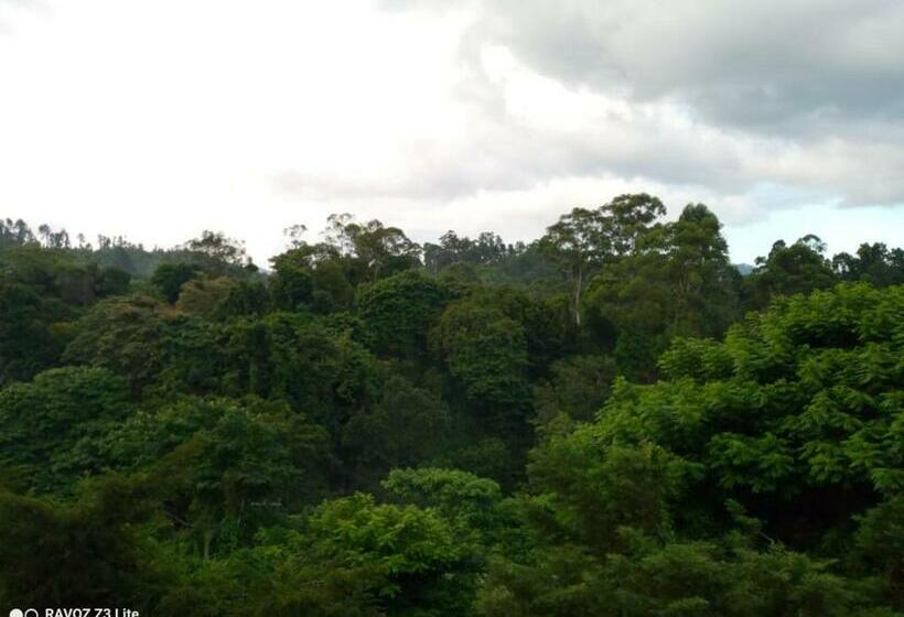 Vandrarhem Uptownella