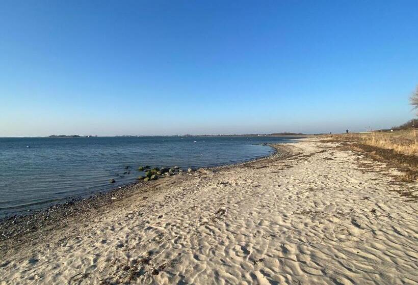 Fewo Kolibri  Mit Waschmaschine