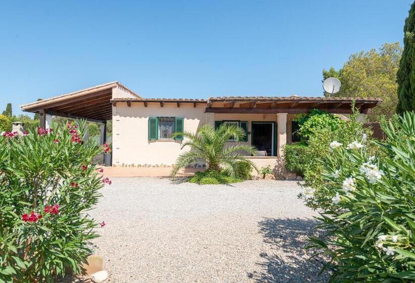 Finca Son Colom Finca Sun Club Home