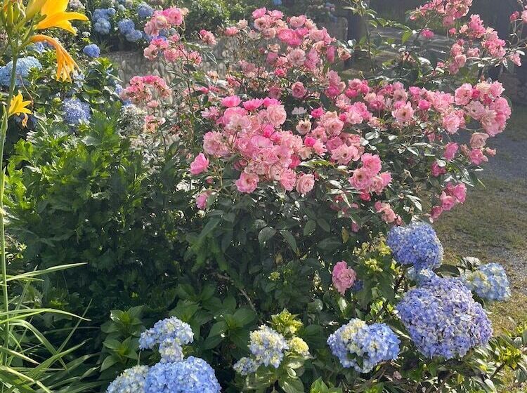 هتل Natural Luxury