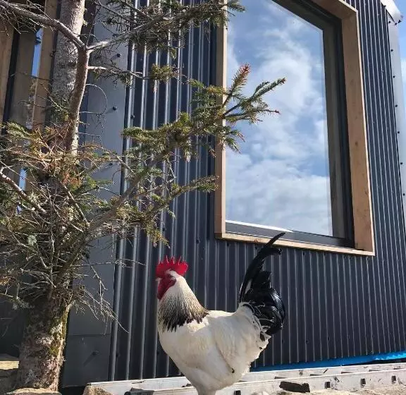 Stunning 1 Bed Tiny Home In Isle Of Skye