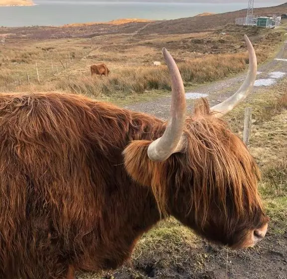 Stunning 1 Bed Tiny Home In Isle Of Skye