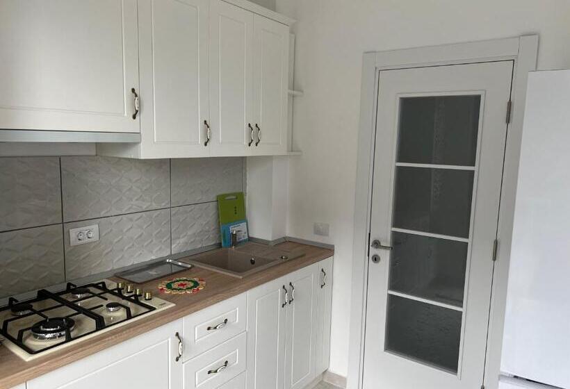 Vlad Summer Studio 11