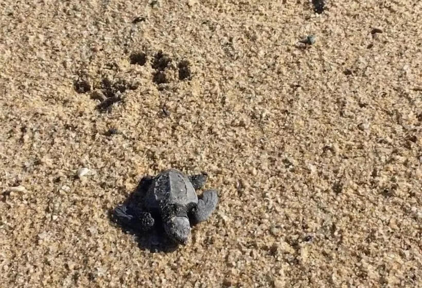 Hotelli Desierto Azul