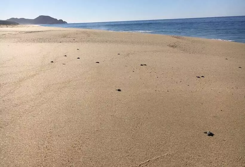 Hotelli Desierto Azul