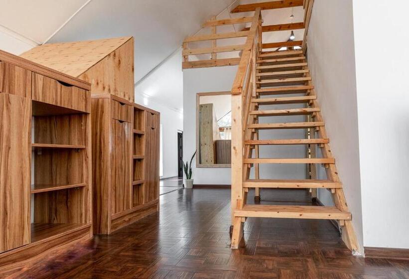 הוסטל Modern Loft Lighthouse