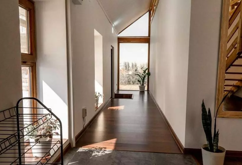هاستل Modern Loft Lighthouse