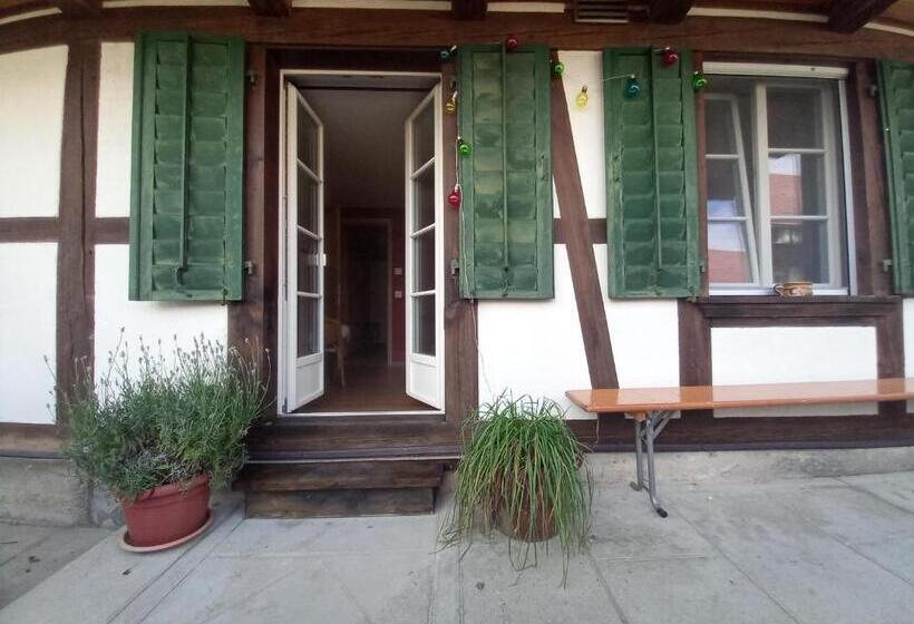 ホテル Uelis Stöckli Familienfreundliche Wohnung Auf Dem Bauernhof Mit Hotpot Und Alpakatrekking