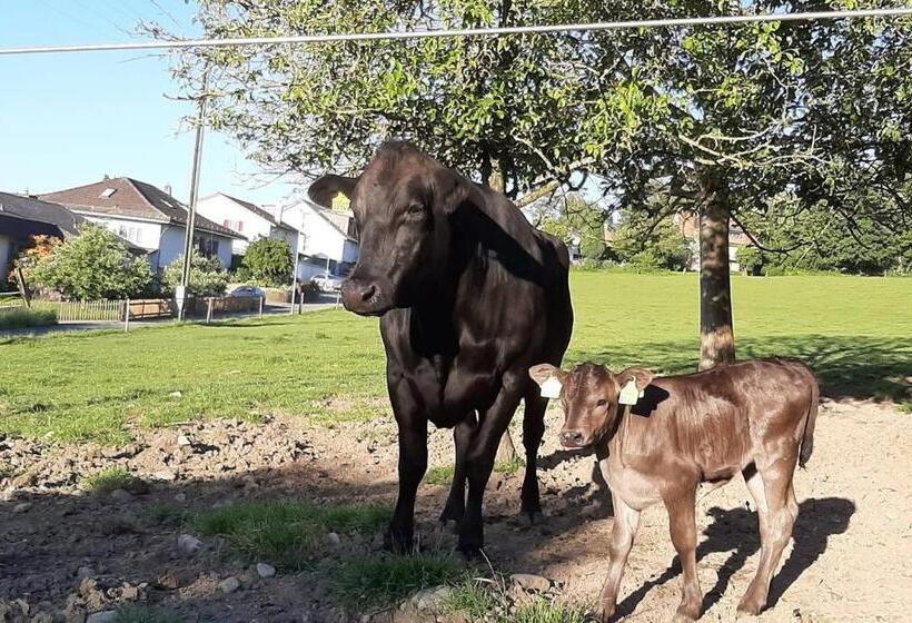 ホテル Uelis Stöckli Familienfreundliche Wohnung Auf Dem Bauernhof Mit Hotpot Und Alpakatrekking